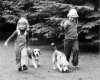 Kinder mit Hunden